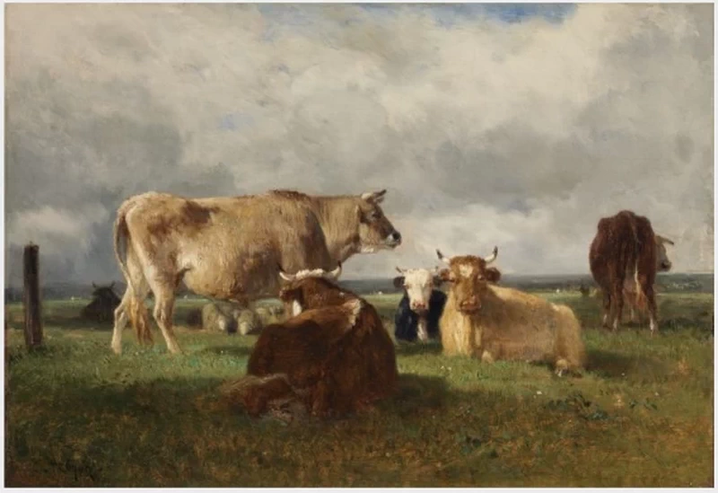 Bovini - National Gallery of Ireland, Dublino